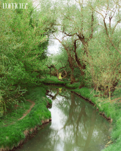 Galeria